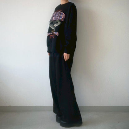 【gleam】イーグルカレッジプリントリメイク風プルオーバー