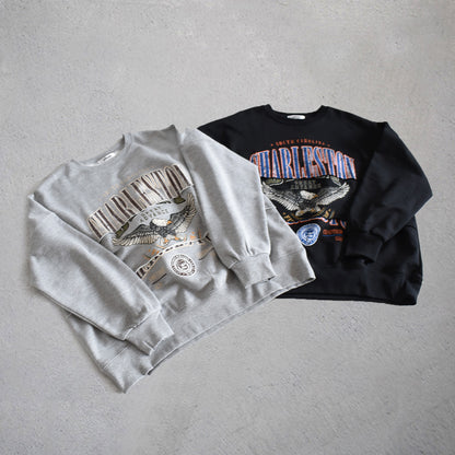 【gleam】イーグルカレッジプリントリメイク風プルオーバー