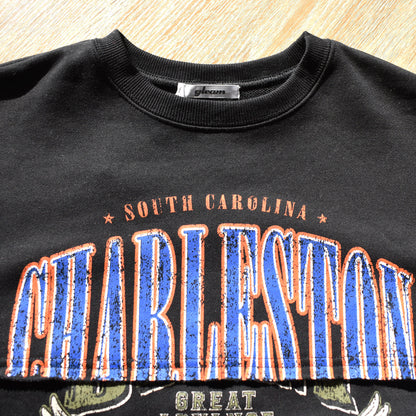 【gleam】イーグルカレッジプリントリメイク風プルオーバー