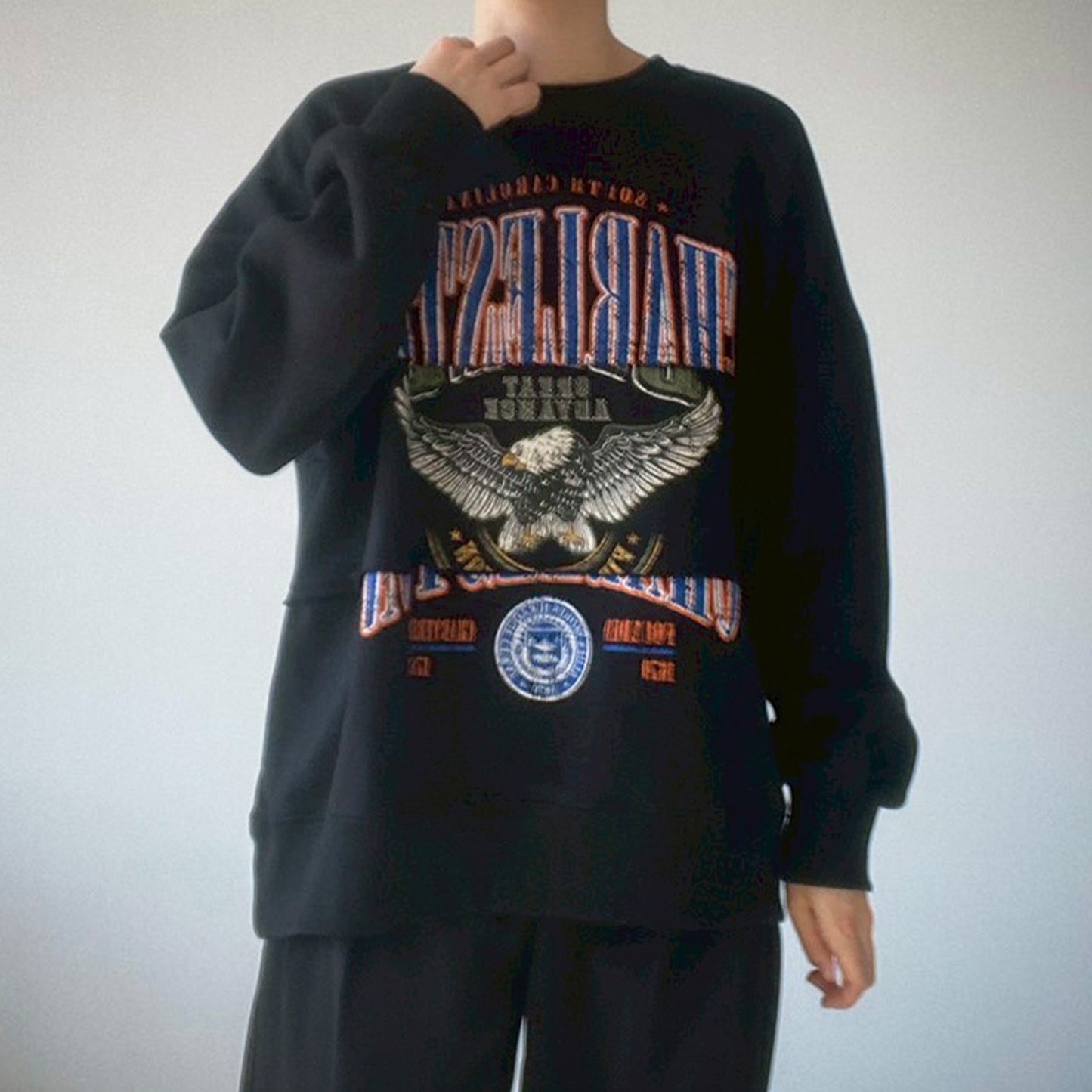 【gleam】イーグルカレッジプリントリメイク風プルオーバー