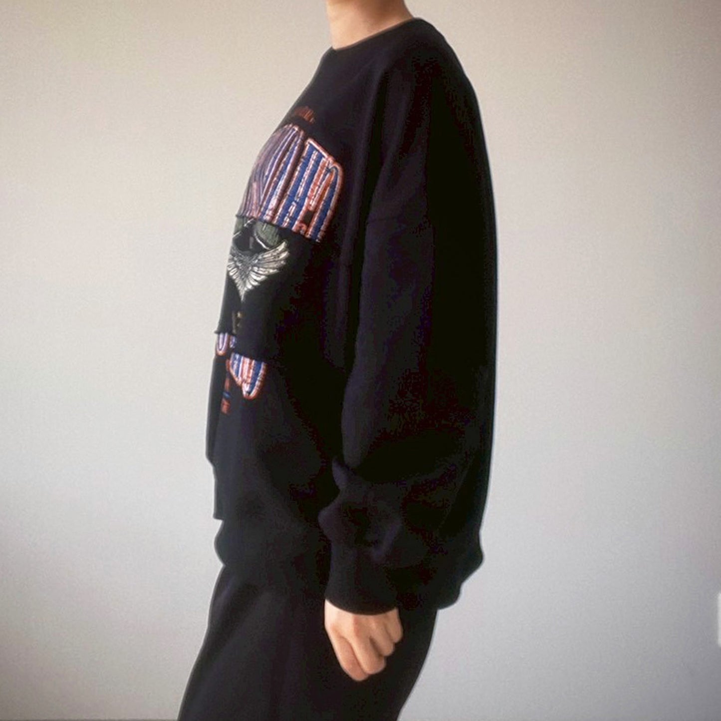 【gleam】イーグルカレッジプリントリメイク風プルオーバー